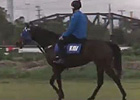 Underwood Stakes Preview: Mark Kavanagh Underwood Stakes Preview: Mark Kavanagh