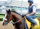 Union Rags Works for Belmont Stakes