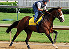 Union Rags to Skip Preakness Stakes Union Rags to Skip Preakness Stakes