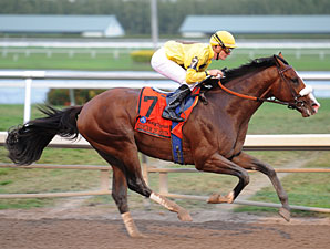 Woods: Union Rags, Big Brown Two of a Kind Woods: Union Rags, Big Brown Two of a Kind