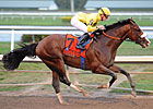 Hype Springs Eternal - By Evan Hammonds Hype Springs Eternal - By Evan Hammonds