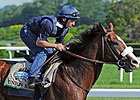 Union Rags Early Belmont Favorite Union Rags Early Belmont Favorite