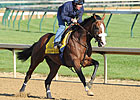 Union Rags Gallops, Set For Saturday Breeze