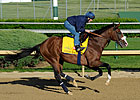 Steve Haskin's Derby Dozen - 4/30/2012