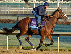horse racing 