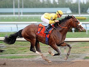 Union Rags Draws Post 6 in Florida Derby