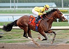 Union Rags Draws Post 6 in Florida Derby Union Rags Draws Post 6 in Florida Derby