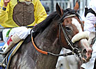Union Rags Quickly Ships Back to Fair Hill 