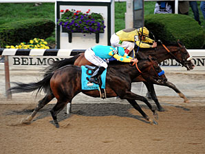 Paynter Threw Shoe in Belmont, Baffert Says Paynter Threw Shoe in Belmont, Baffert Says