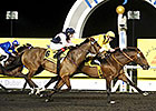 United Color Speeds to Dubawi Win United Color Speeds to Dubawi Win
