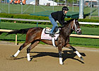Oaks Owners Weigh In on Derby Points System Oaks Owners Weigh In on Derby Points System