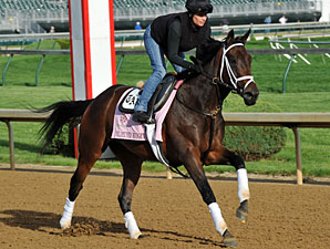 Unlimited Budget May Take on Boys in Belmont Unlimited Budget May Take on Boys in Belmont