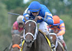 Lasix-off not an issue for Fortify