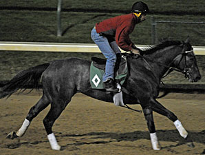 Unrivaled Belle Likely for Ladies Classic Unrivaled Belle Likely for Ladies Classic