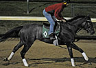Unrivaled Belle Likely for Ladies Classic Unrivaled Belle Likely for Ladies Classic