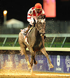 Breeders' Cup Enjoys First Day Increases Breeders' Cup Enjoys First Day Increases
