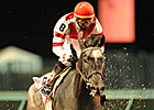 Breeders' Cup Enjoys First Day Increases Breeders' Cup Enjoys First Day Increases