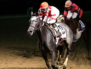 Breeders' Cup Offers Ladies' Classic Contest Breeders' Cup Offers Ladies' Classic Contest