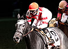 Breeders' Cup Offers Ladies' Classic Contest Breeders' Cup Offers Ladies' Classic Contest