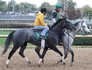 Unrivaled Belle Preps for Ladies Classic Unrivaled Belle Preps for Ladies Classic