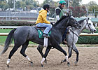 Unrivaled Belle Preps for Ladies Classic