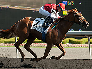 No Catching Unspurned in Bison City Stakes No Catching Unspurned in Bison City Stakes