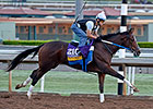 Asmussen Aims to Make Untapable Feel at Home Asmussen Aims to Make Untapable Feel at Home