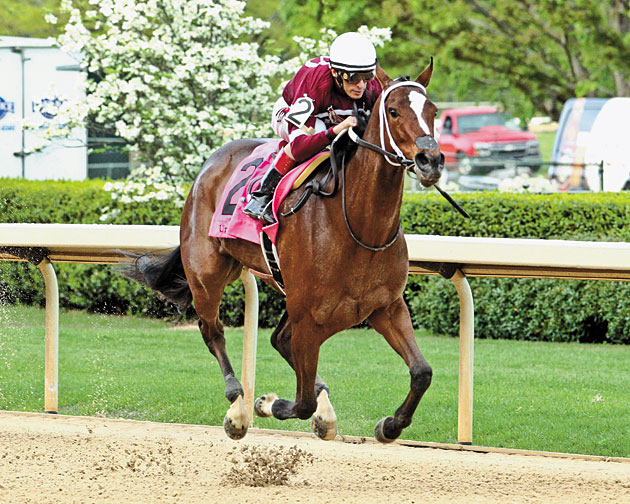 American Pharoah installed as the 6-5 favorite in Breeders' Cup Classic