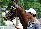 Filly Untapable Works Toward Haskell Filly Untapable Works Toward Haskell