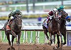 Untapable Powers to Breeders' Cup Distaff Win Untapable Powers to Breeders' Cup Distaff Win