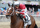 Featured Horse Profile: Untapable Featured Horse Profile: Untapable