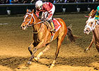 Untapable Headlines Fair Grounds Oaks Untapable Headlines Fair Grounds Oaks