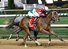 Juvenile Fillies: Tapping Into Untapable Juvenile Fillies: Tapping Into Untapable