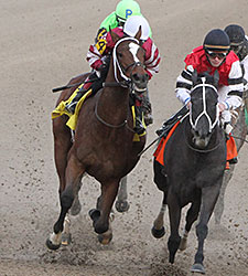 Untapable Cruises in Rachel Alexandra Untapable Cruises in Rachel Alexandra