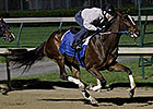 Kentucky Oaks Favorite Untapable All Business Kentucky Oaks Favorite Untapable All Business