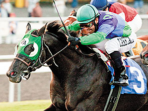 Pastern Injury Ends Unusual Suspect's Career Pastern Injury Ends Unusual Suspect's Career