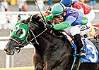 Pastern Injury Ends Unusual Suspect's Career Pastern Injury Ends Unusual Suspect's Career