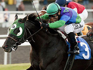 Unusual Suspect Fingered in Turf Cup Surprise Unusual Suspect Fingered in Turf Cup Surprise