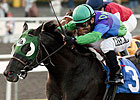 Unusual Suspect Fingered in Turf Cup Surprise Unusual Suspect Fingered in Turf Cup Surprise