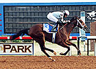 Unusual Way's Zia Oaks Win Tops Record Card Unusual Way's Zia Oaks Win Tops Record Card