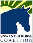 Taking the 'Un' Out of Unwanted Horses Taking the 'Un' Out of Unwanted Horses