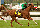 California Champion Unzip Me Retired California Champion Unzip Me Retired
