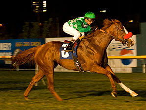 Unzip Me Rolls Again in Oak Tree Opener Unzip Me Rolls Again in Oak Tree Opener