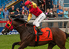 Canada's Up With the Birds Targets Japan Cup Canada's Up With the Birds Targets Japan Cup