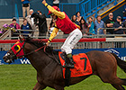 Up With the Birds Swoops to Nijinsky Victory Up With the Birds Swoops to Nijinsky Victory
