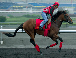 Up With the Birds Favored in Queen's Plate Up With the Birds Favored in Queen's Plate