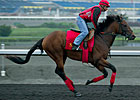 Up With the Birds Favored in Queen's Plate Up With the Birds Favored in Queen's Plate