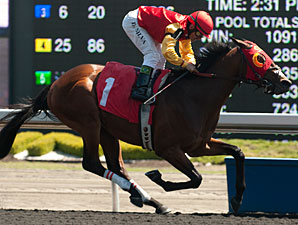 Up With the Birds Dominates Marine Stakes Up With the Birds Dominates Marine Stakes