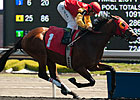 Up With the Birds Dominates Marine Stakes Up With the Birds Dominates Marine Stakes