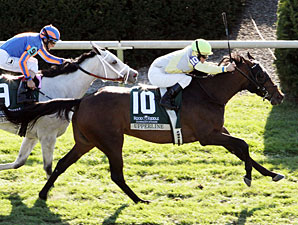 Upperline Bows Out With Game Dowager Triumph Upperline Bows Out With Game Dowager Triumph